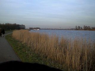 de Rotte